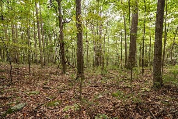 2.4 Acres of Residential Land for Sale in Independence, Virginia