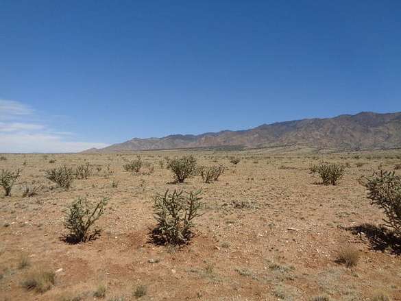 20 Acres of Land for Sale in Belen, New Mexico