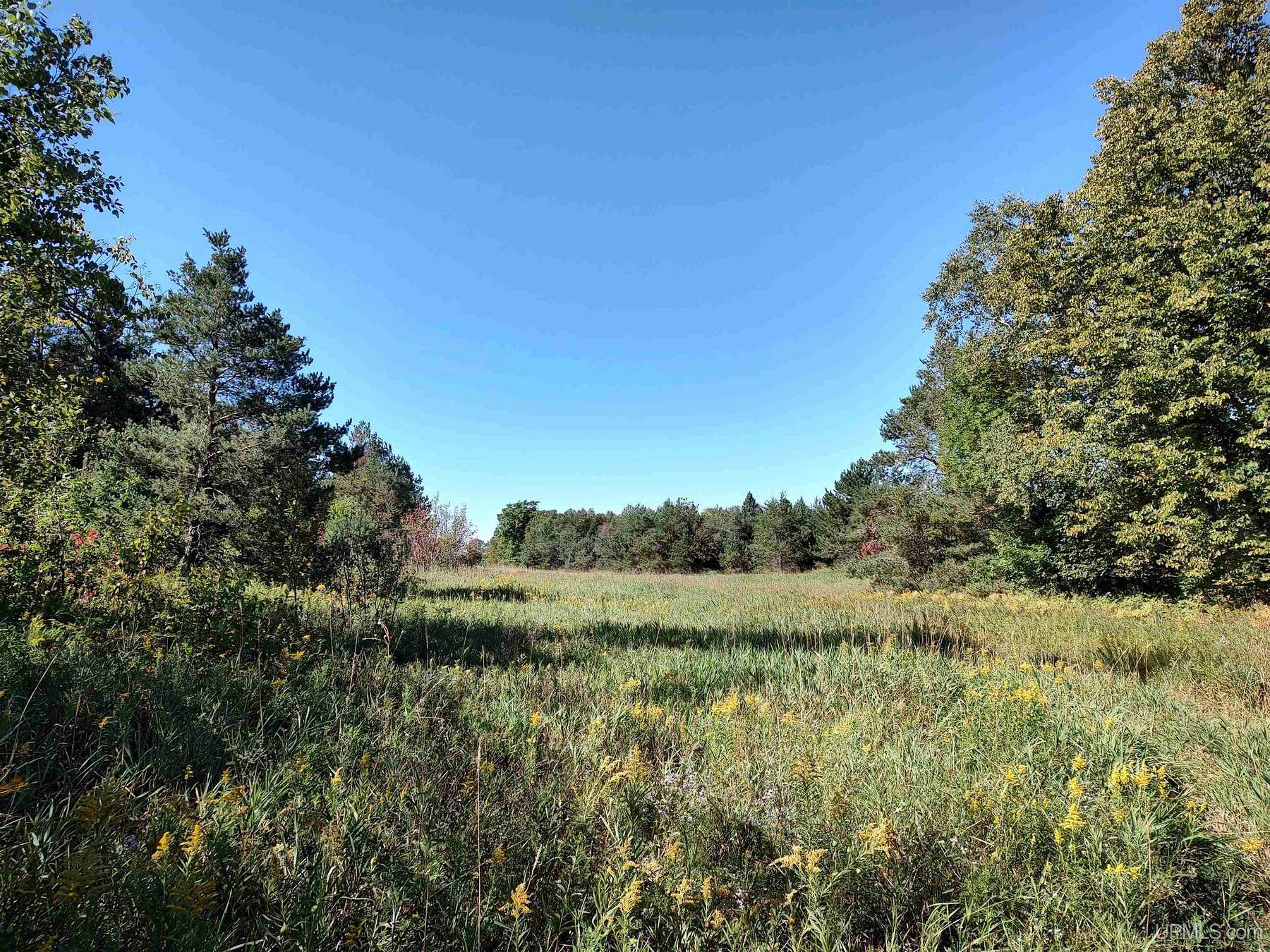 422 Acres of Land for Sale in Gulliver, Michigan