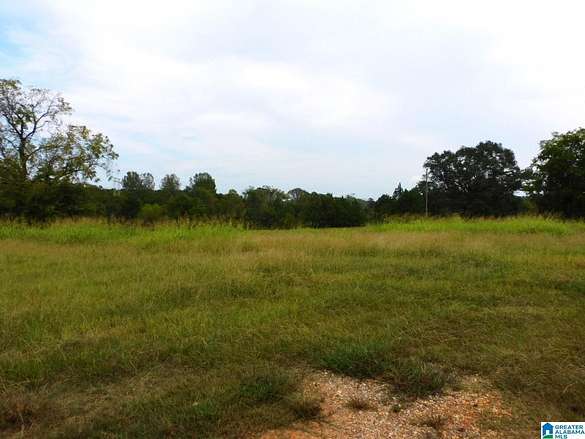 59.51 Acres of Land for Sale in Vincent, Alabama