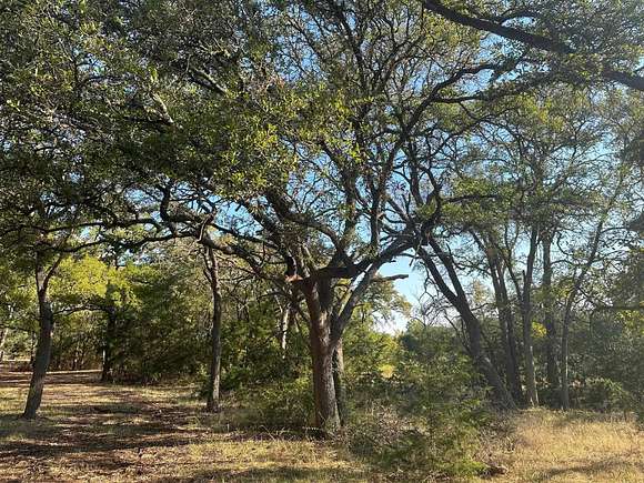 10.4 Acres of Land for Sale in Briggs, Texas