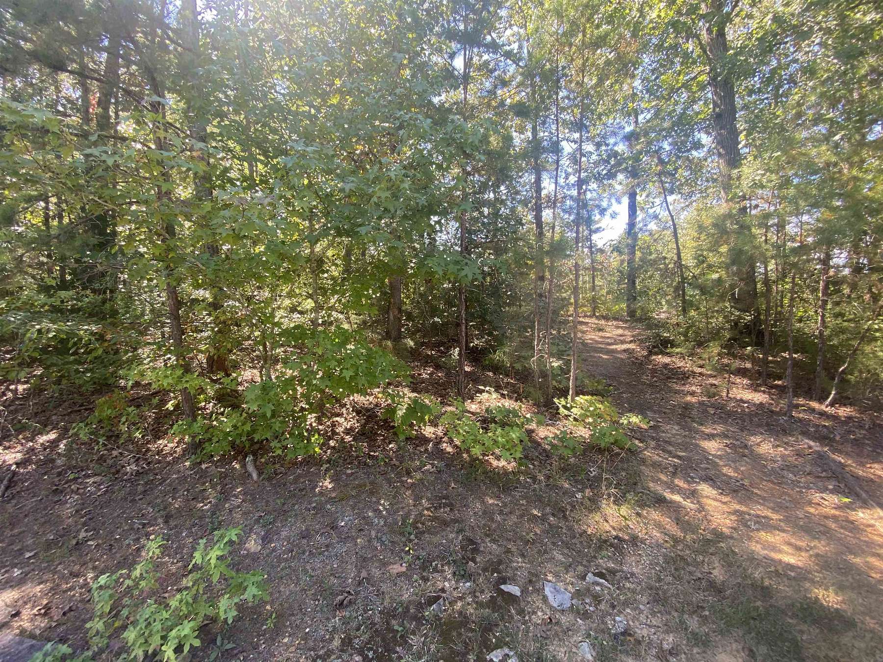 0.11 Acres of Residential Land for Sale in Counce, Tennessee