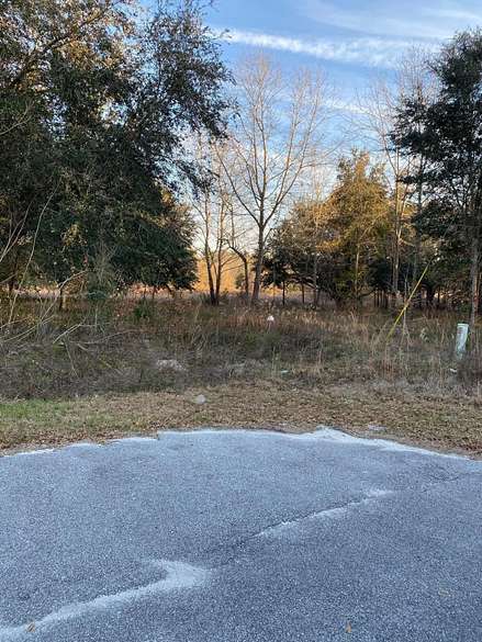 1.2 Acres of Residential Land for Sale in Eutawville, South Carolina
