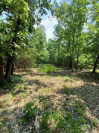 42.4 Acres of Recreational Land & Farm for Sale in Birch Tree, Missouri