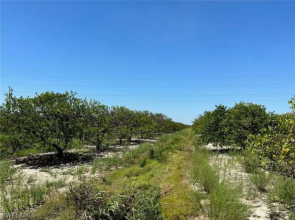 13.3 Acres of Recreational Land & Farm for Sale in LaBelle, Florida