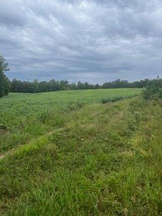 202 Acres of Recreational Land for Sale in Nathalie, Virginia