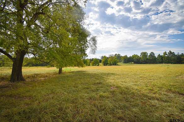 4 Acres of Residential Land for Sale in Winona, Texas