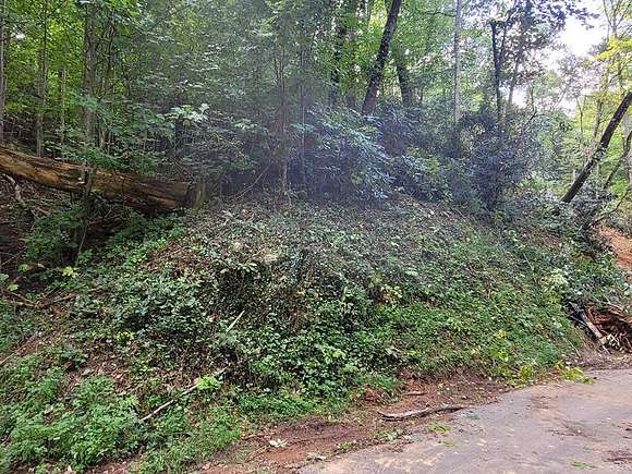 0.53 Acres of Residential Land for Sale in Gatlinburg, Tennessee