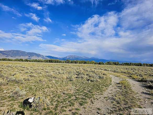 175 Acres of Land for Sale in Leadore, Idaho