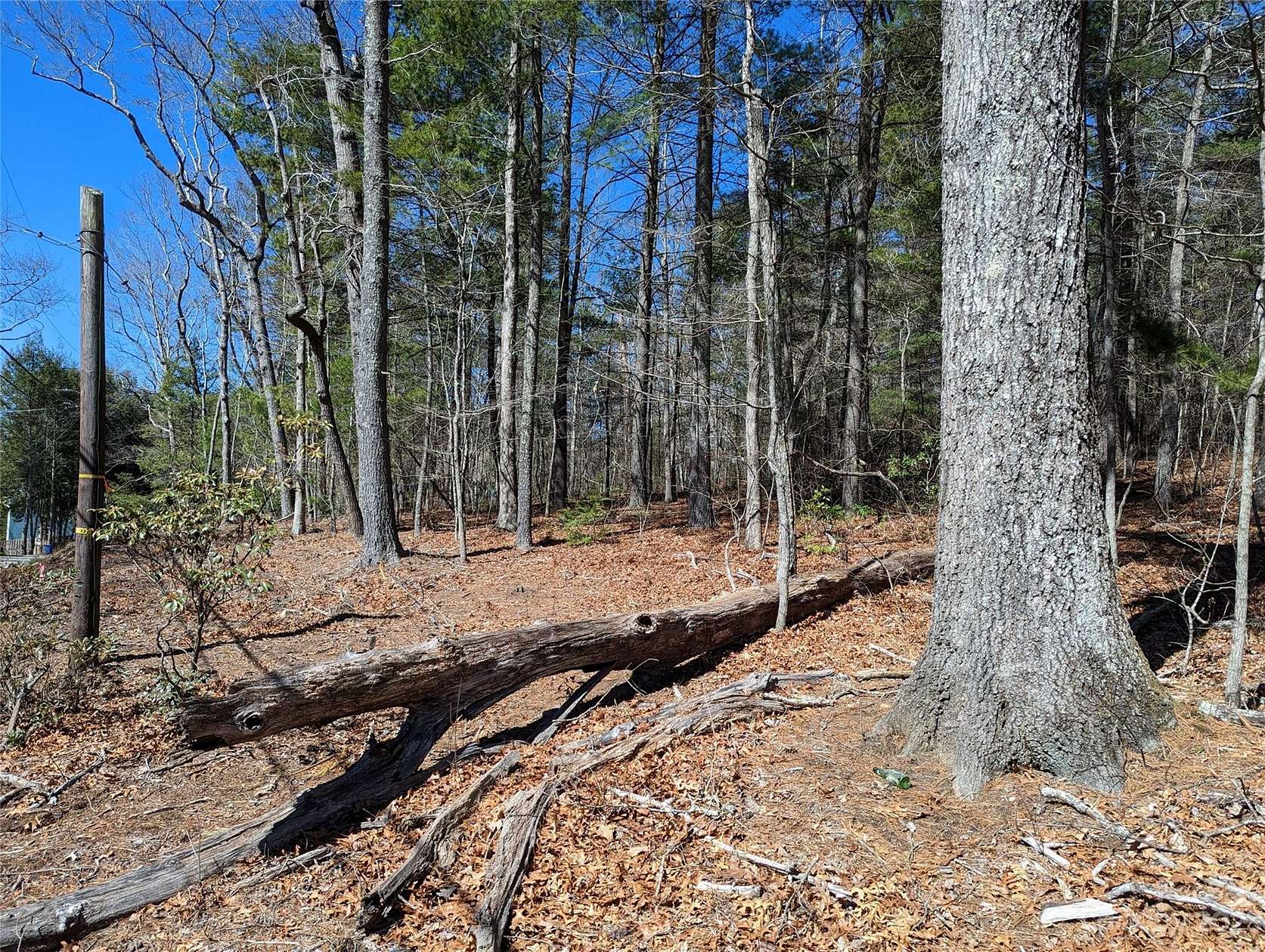 0.71 Acres of Land for Sale in Black Mountain, North Carolina