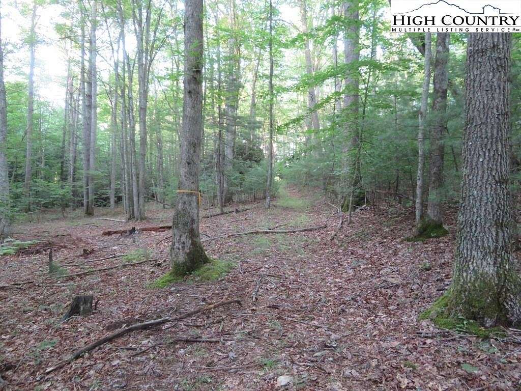 1.5 Acres of Residential Land for Sale in Lansing, North Carolina