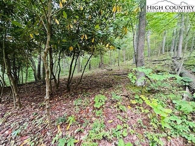 1.4 Acres of Residential Land for Sale in Lansing, North Carolina