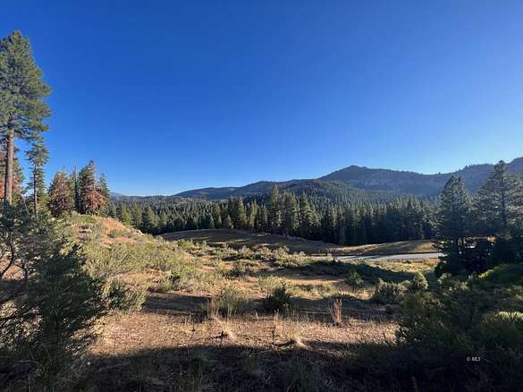 39.2 Acres of Recreational Land & Farm for Sale in Cedarville, California
