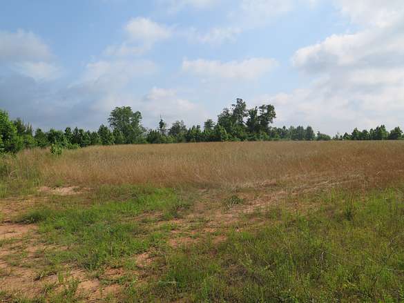 163 Acres of Recreational Land for Sale in Bay Springs, Mississippi