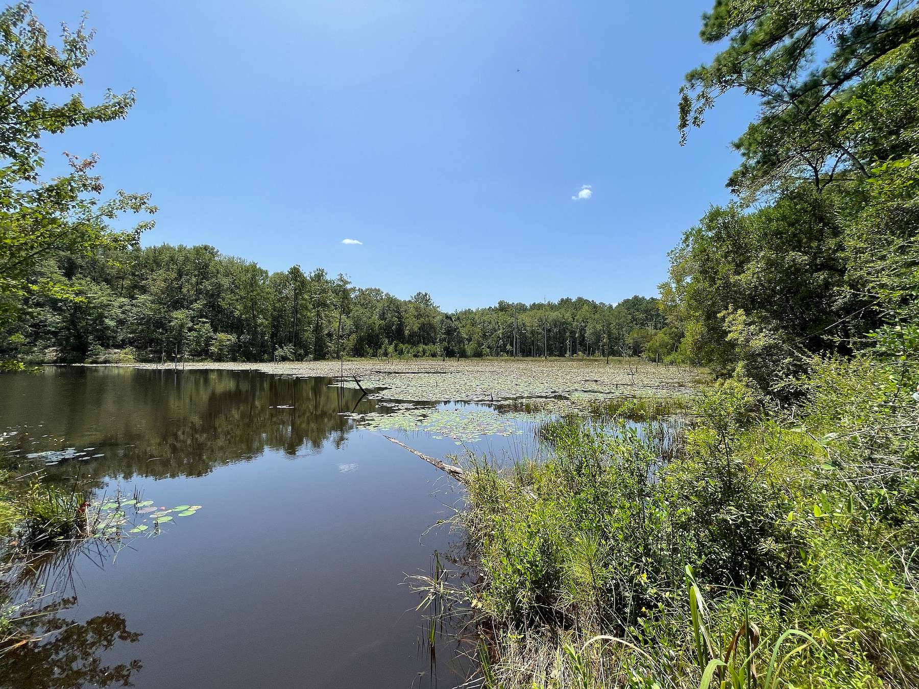 25 Acres of Recreational Land for Sale in Chunchula, Alabama