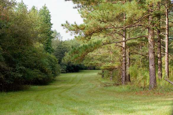 116.59 Acres of Land for Sale in Trenton, South Carolina