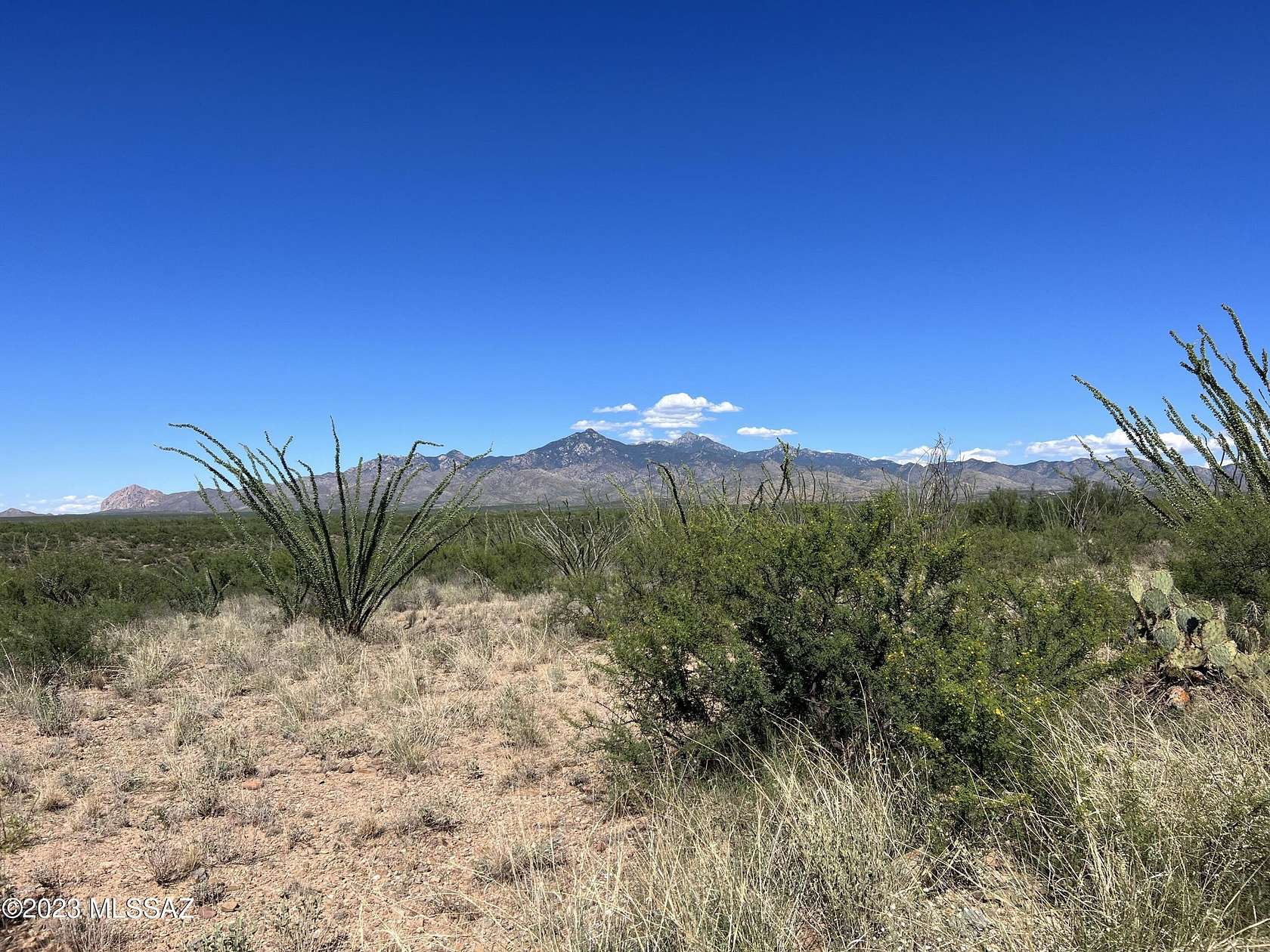 38.8 Acres of Land for Sale in Tubac, Arizona