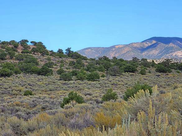 5.3 Acres of Residential Land for Sale in Fort Garland, Colorado