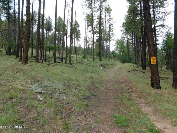 2.5 Acres of Residential Land for Sale in Alpine, Arizona