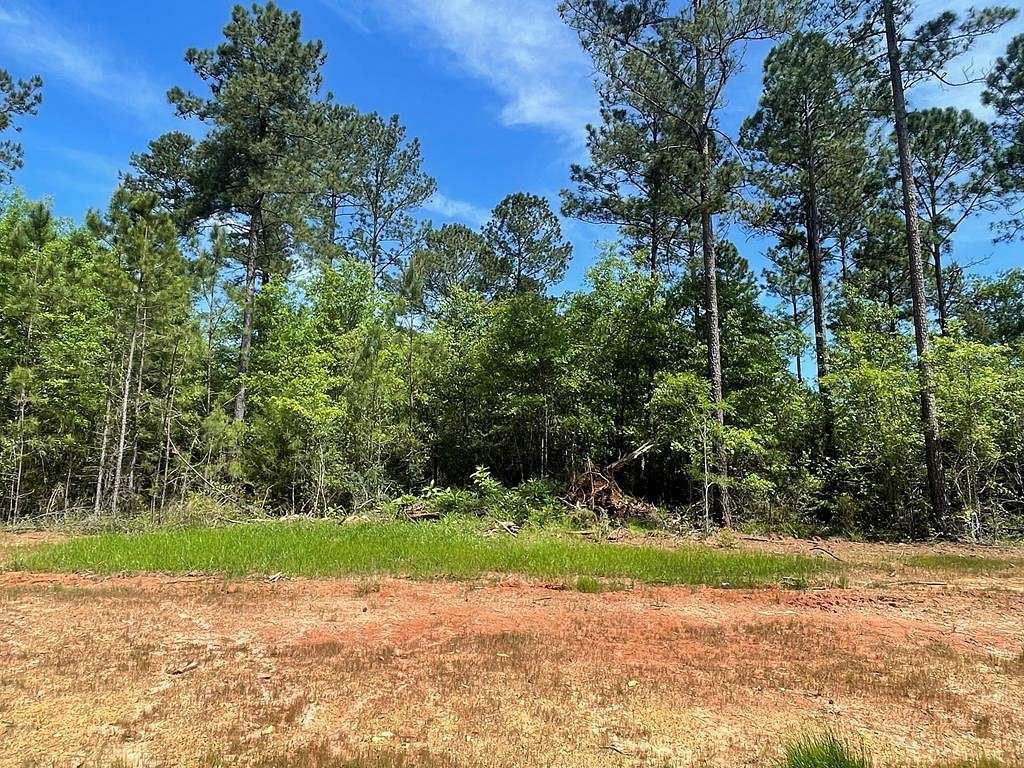 0.76 Acres of Residential Land for Sale in Leesburg, Georgia