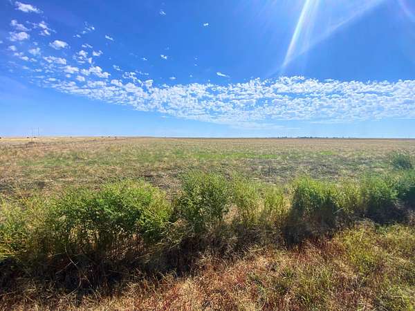 1,478 Acres of Land for Sale in Perryton, Texas