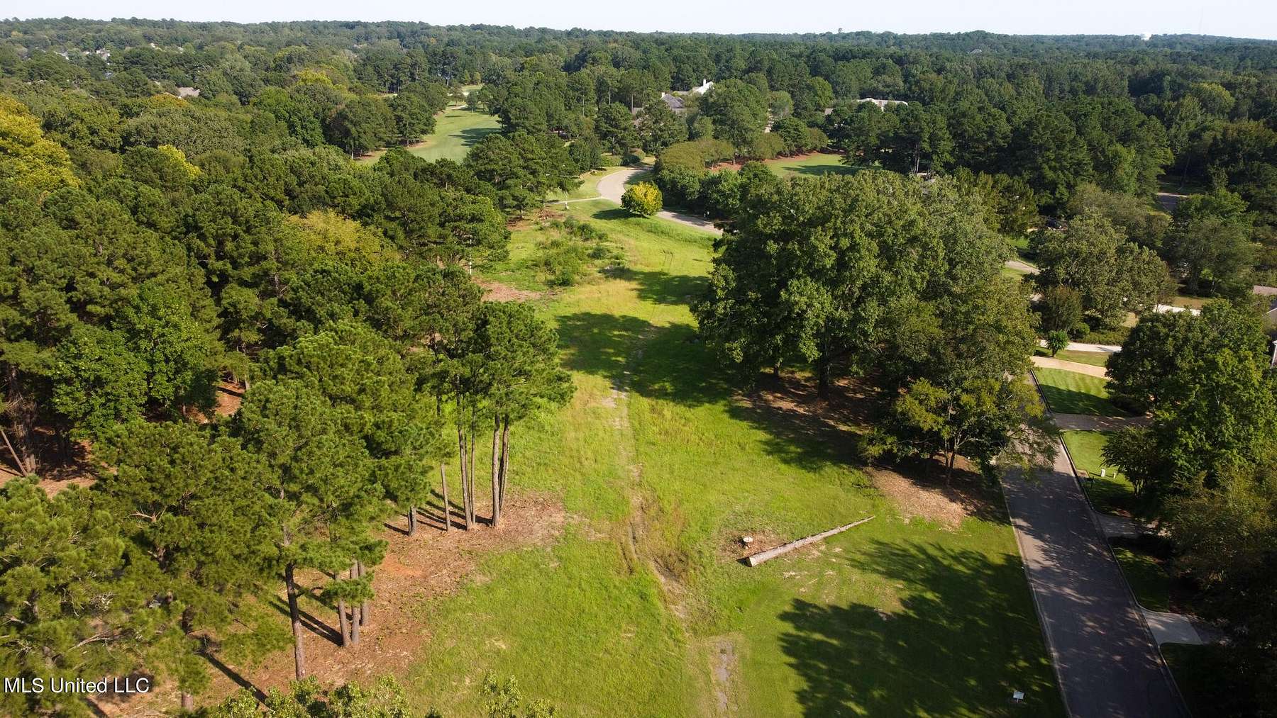 12 Acres of Land for Sale in Madison, Mississippi