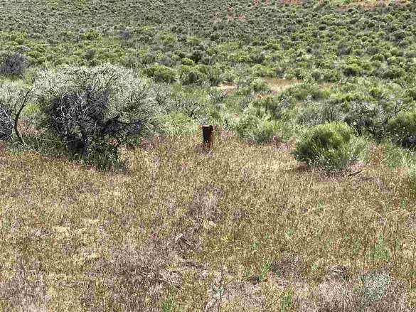 2.8 Acres of Residential Land for Sale in Elko, Nevada