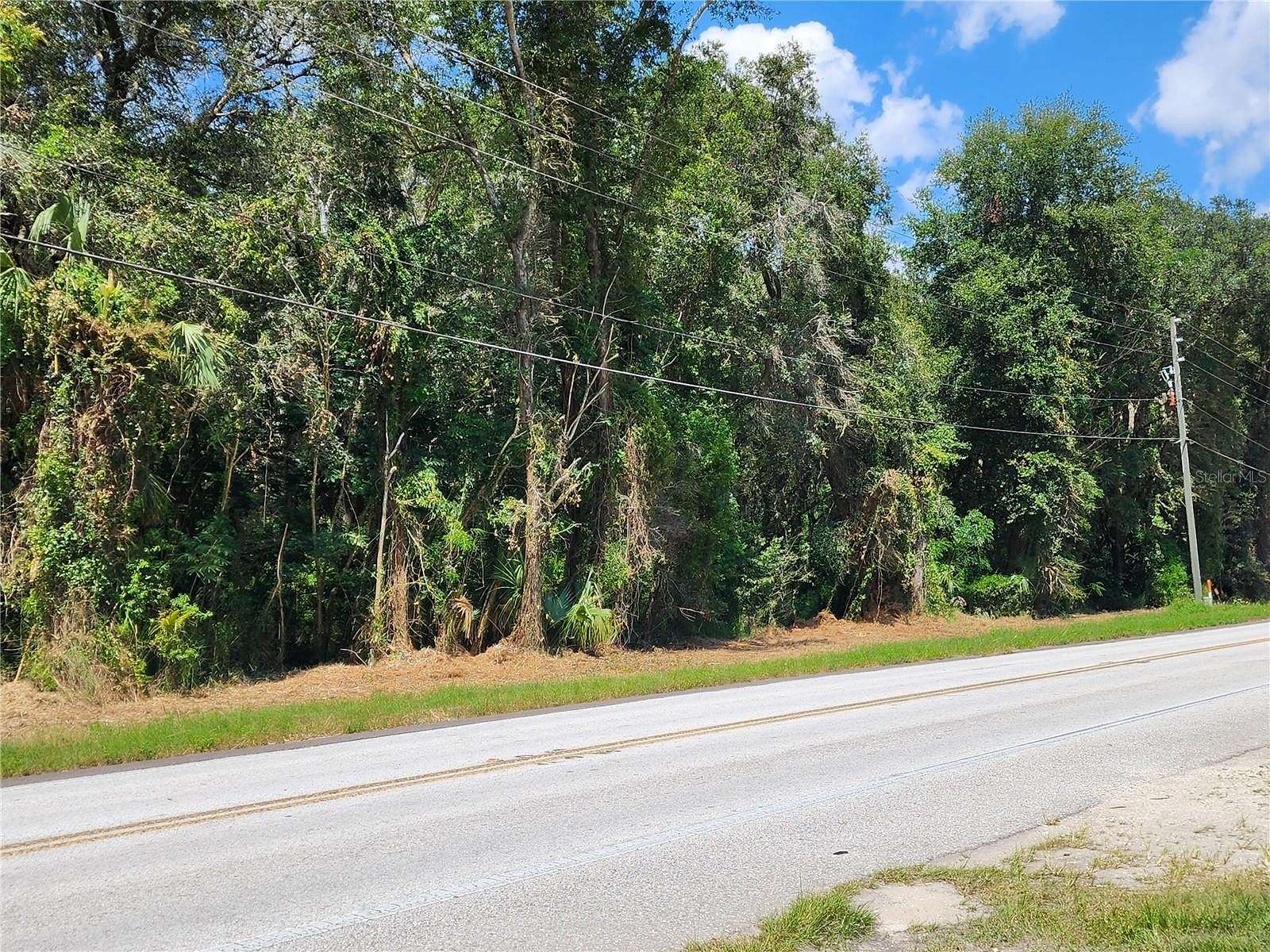 0.8 Acres of Commercial Land for Sale in Weirsdale, Florida