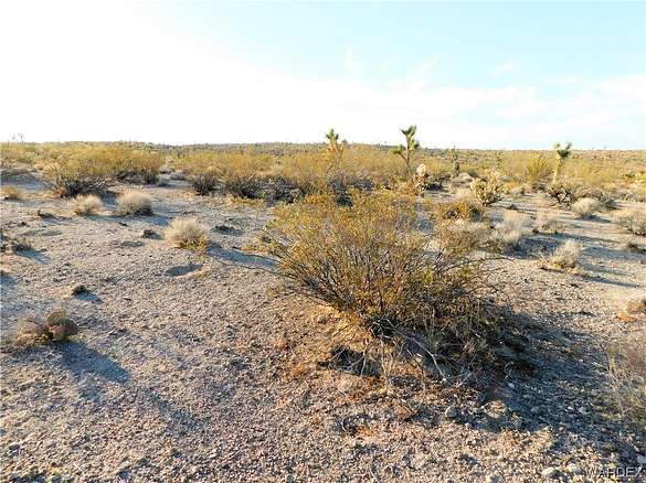 0.31 Acres of Residential Land for Sale in Meadview, Arizona