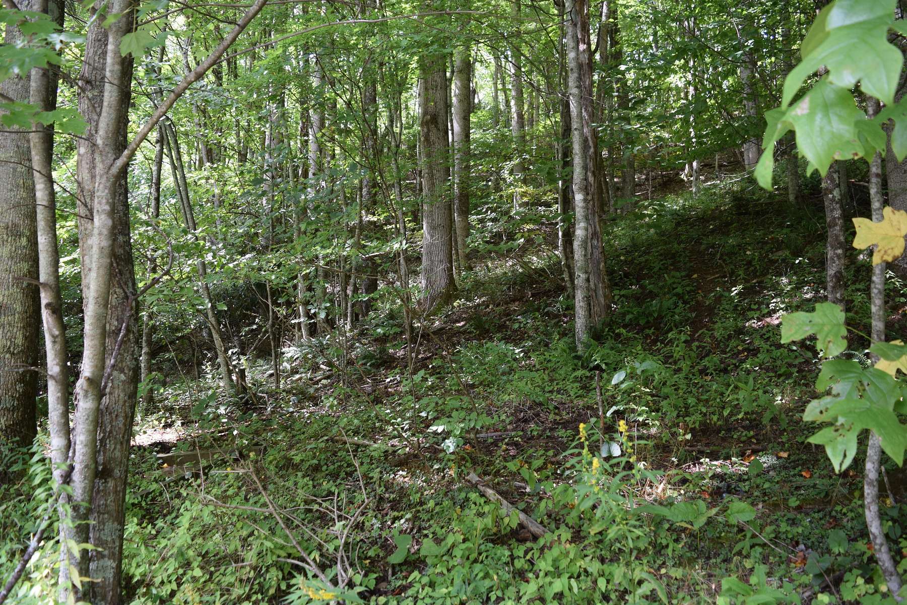 0.88 Acres of Residential Land for Sale in Roan Mountain, Tennessee