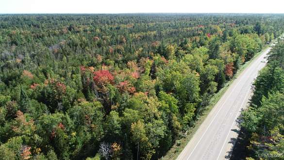 89.3 Acres of Recreational Land for Sale in Manistique, Michigan