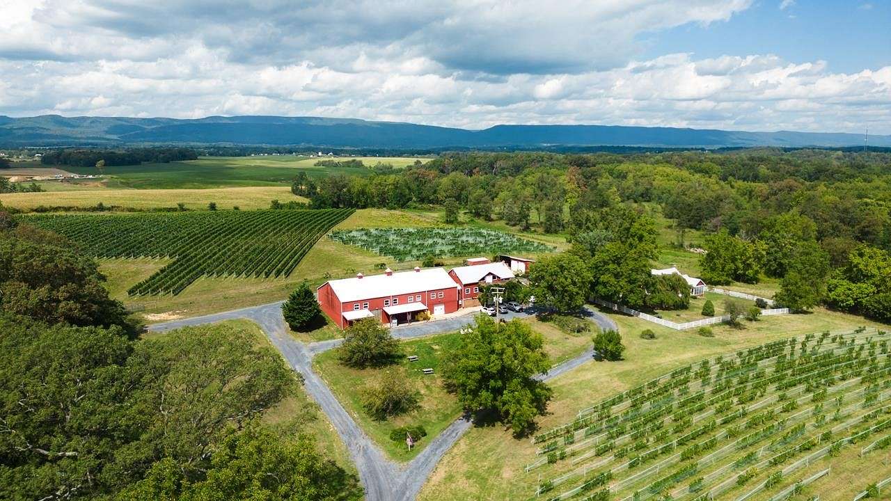 27.7 Acres of Improved Land for Sale in Edinburg, Virginia