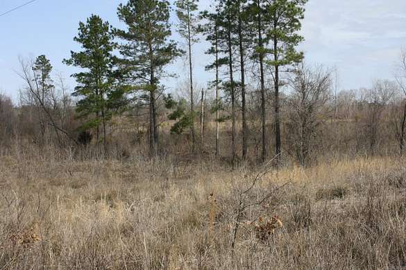 125.88 Acres of Recreational Land for Sale in Dierks, Arkansas