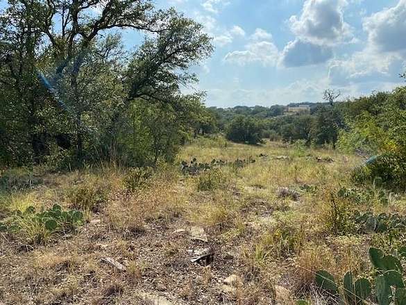 55 Acres of Recreational Land for Sale in Brownwood, Texas