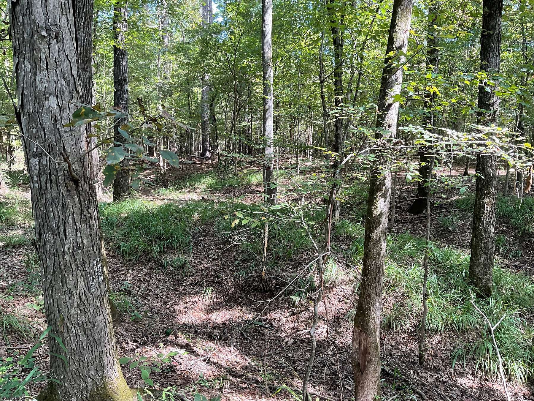 0.5 Acres of Residential Land for Sale in Warsaw, Alabama