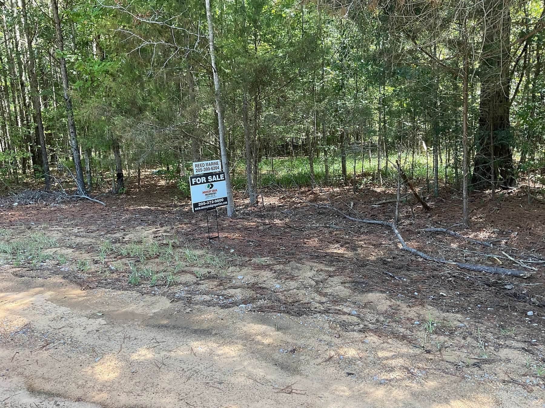 0.5 Acres of Residential Land for Sale in Warsaw, Alabama