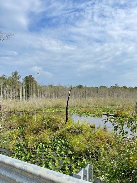 21 Acres of Recreational Land for Sale in Salley, South Carolina