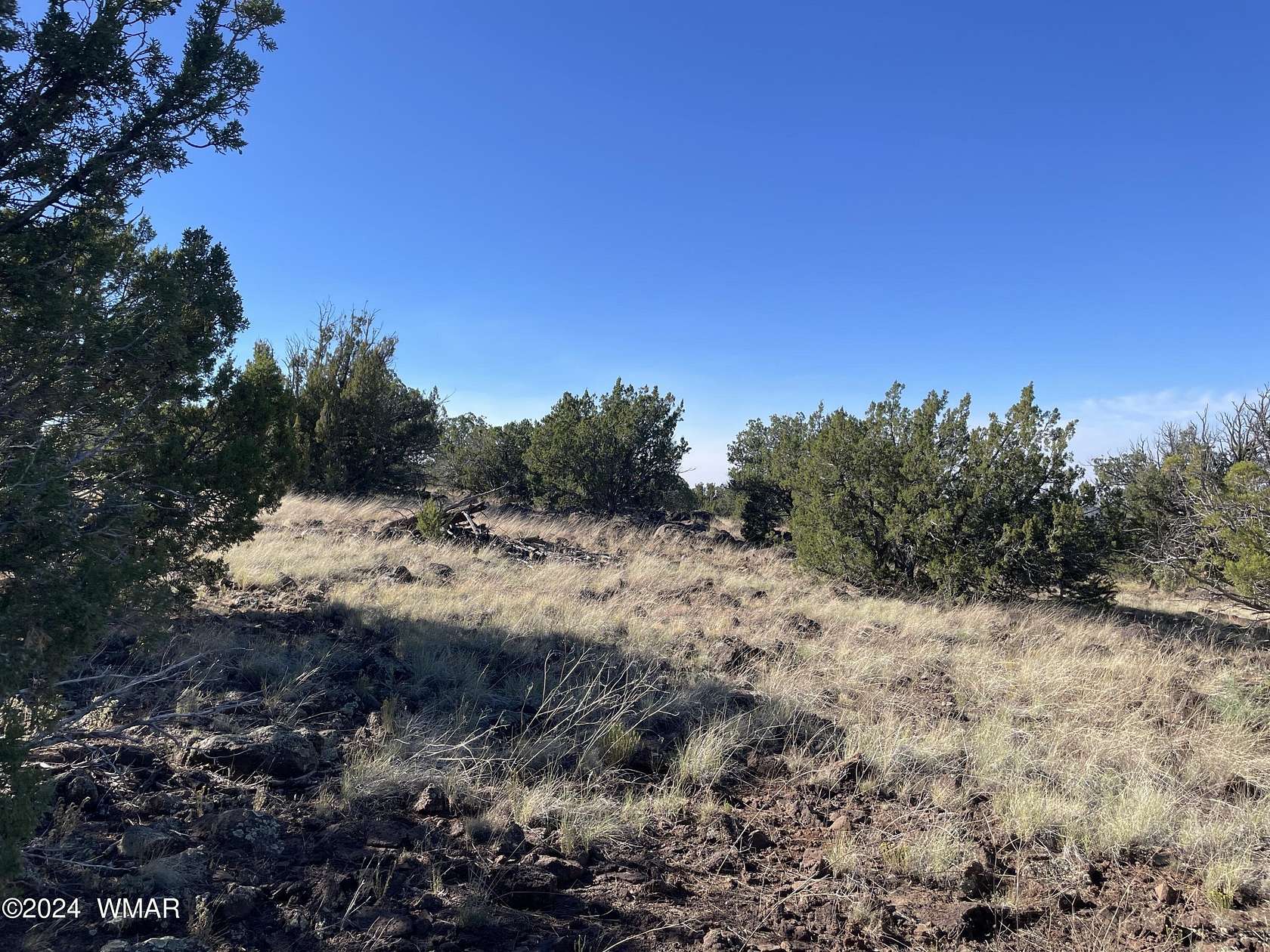 1.16 Acres of Land for Sale in Concho, Arizona