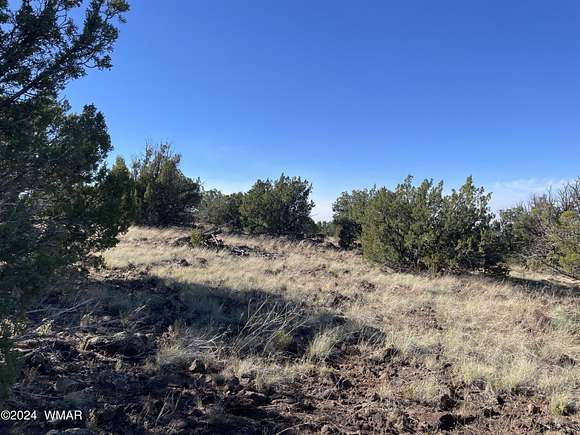 1.16 Acres of Land for Sale in Concho, Arizona