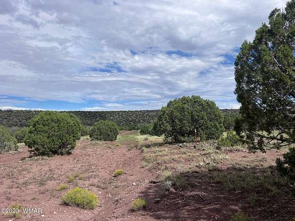 39.6 Acres of Recreational Land for Sale in Snowflake, Arizona