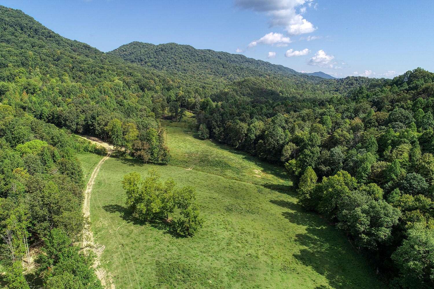 30 Acres of Agricultural Land for Sale in Rogersville, Tennessee
