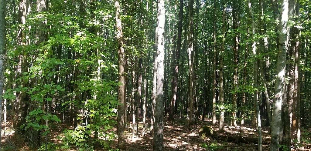 0.48 Acres of Residential Land for Sale in Macon, North Carolina