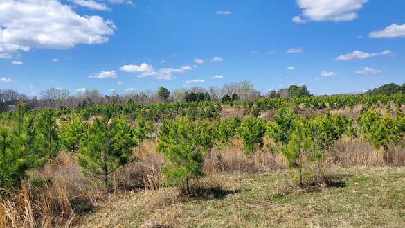 71 Acres of Recreational Land & Farm for Sale in Long Island, Virginia