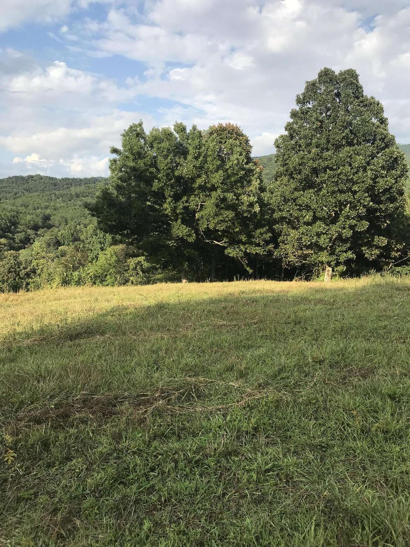 9 Acres of Land for Sale in Copperhill, Tennessee