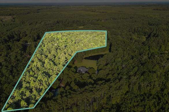 15 Acres of Land for Sale in Clyo, Georgia