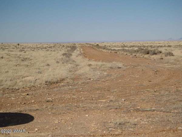 36.5 Acres of Recreational Land for Sale in Heber, Arizona