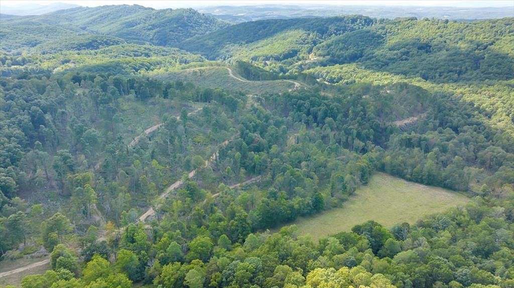 84.6 Acres of Agricultural Land for Sale in Lindside, West Virginia
