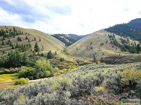 51.8 Acres of Recreational Land for Sale in Tendoy, Idaho