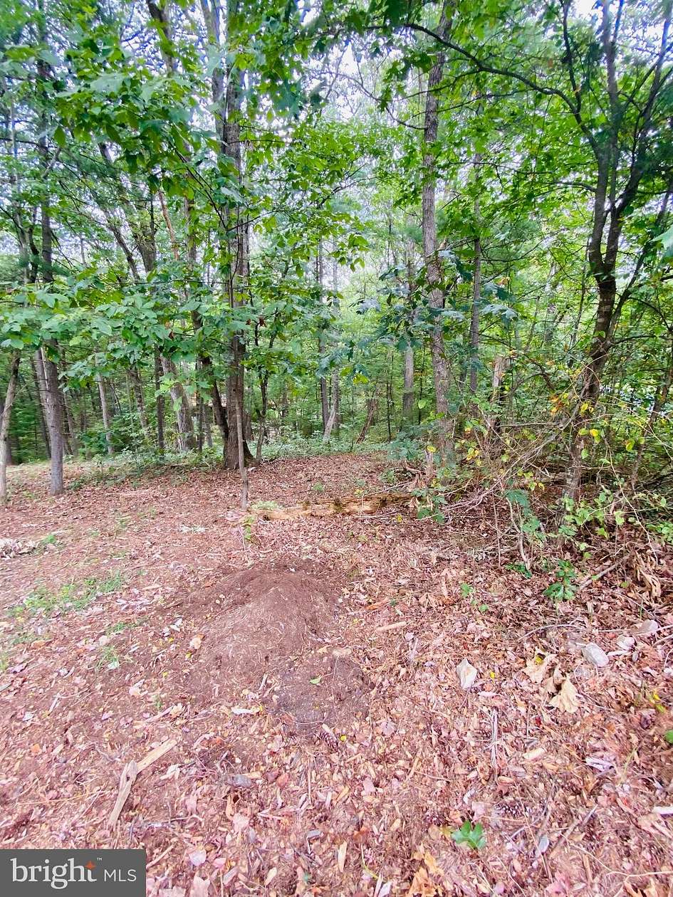 0.29 Acres of Land for Sale in Mount Jackson, Virginia