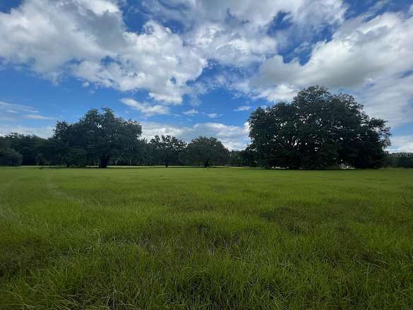 15.2 Acres of Land for Sale in Anthony, Florida